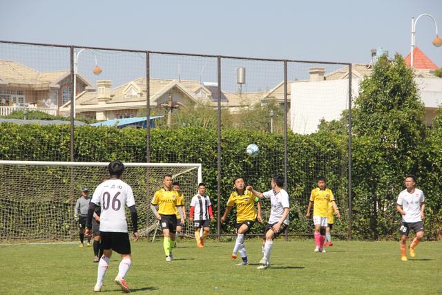 辽宁连续5年打进总决赛 此前2次冠军2次亚军